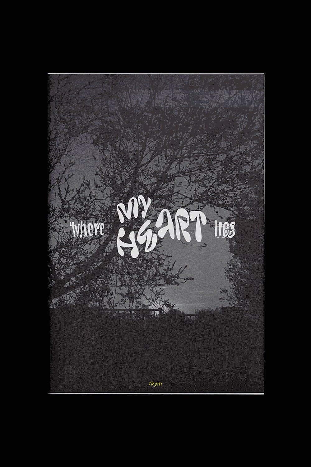 “Where my heart lies” book cover